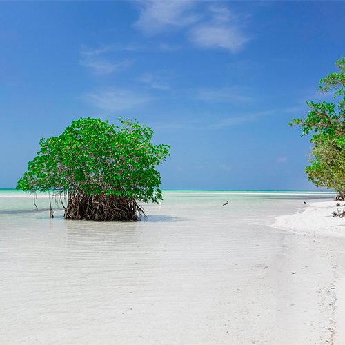 Cayo Coco